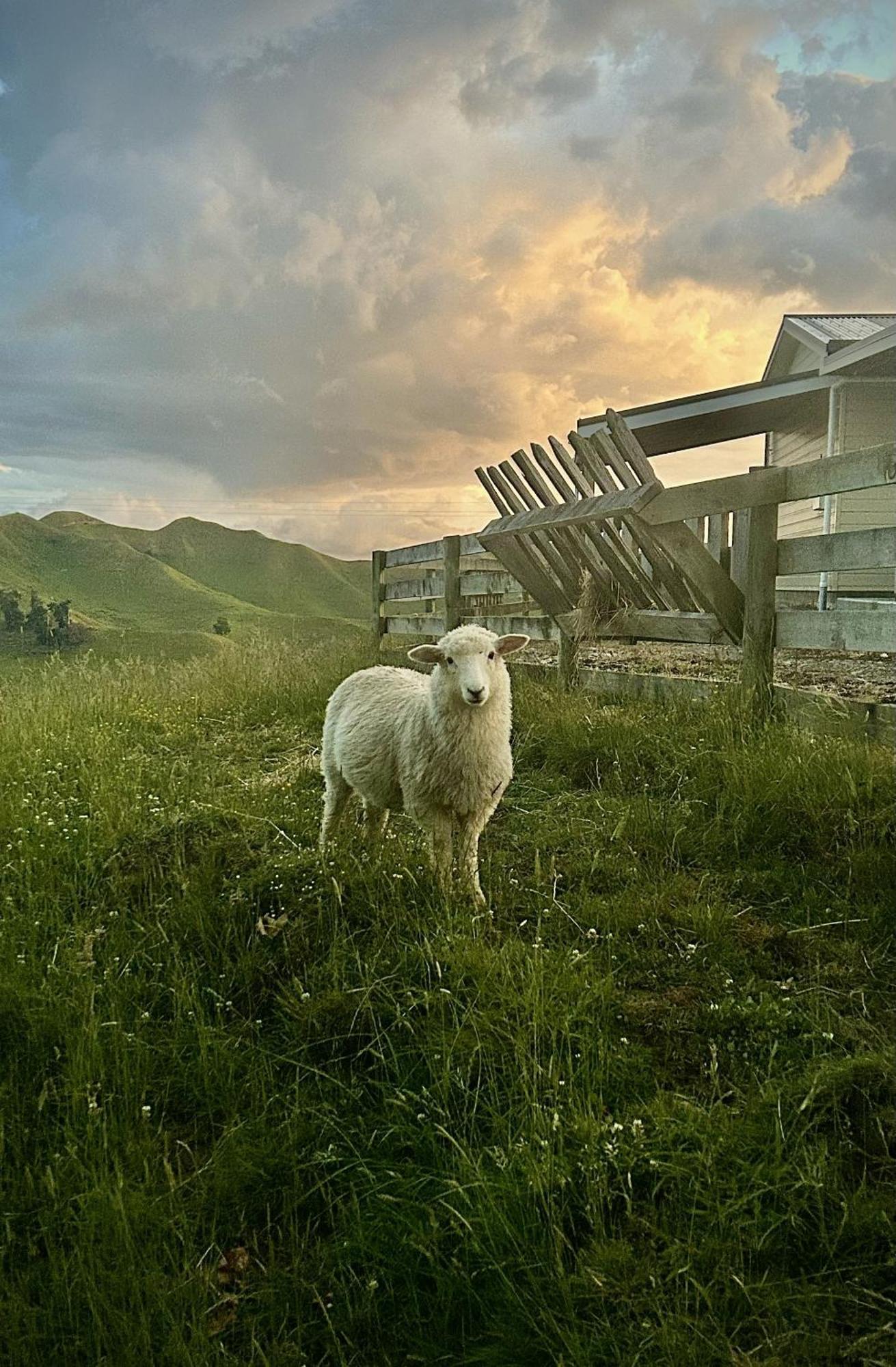 Hopwood Bed & Breakfast Taihape Bagian luar foto